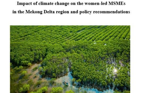 Barriers and challenges faced by women entrepreneurs (women-led MSMEs) in the Mekong River Delta by gender issues and climate change (UN-ESCAP Project)
