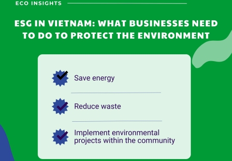 ESG in Vietnam: Essential Steps for Businesses to Protect the Environment