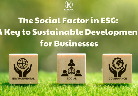 The Social Factor in Environmental, Social, and Governance (ESG): A Key to Sustainable Development for Businesses