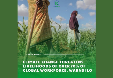Climate change threatens livelihoods of over 70% of global workforce, warns ILO
