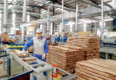 Chuyên gia KLINOVA đánh giá tác động của cơ chế điều chỉnh biên giới Carbon đối với ngành gỗ