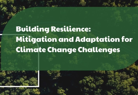 Building Resilience: Mitigation and Adaptation for Climate Change Challenges