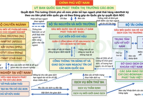 Sơ đồ tổ chức vận hành sàn giao dịch tín chỉ các-bon