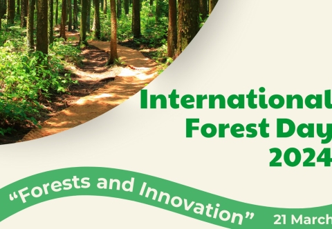Happy International Day of Forests 2024 