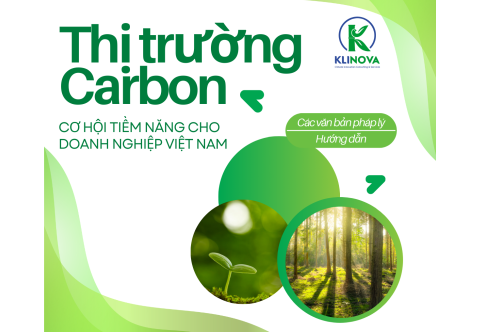 Thị trường carbon: cơ hội tiềm năng cho doanh nghiệp Việt Nam