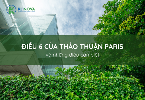 Điều 6 của thỏa thuận Paris và những điều cần biết