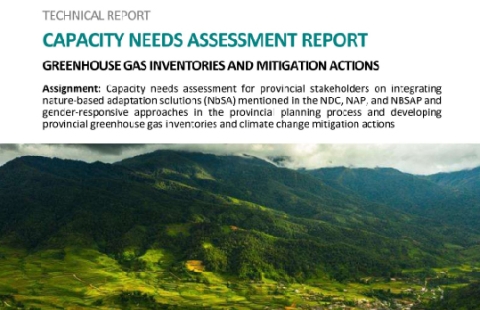 Technical Report: Capacity needs assessment report 