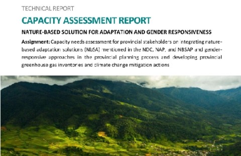 Technical Report: Capacity assessment report 