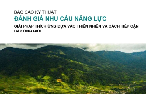 Báo cáo kỹ thuật: Đánh giá nhu cầu năng lực 