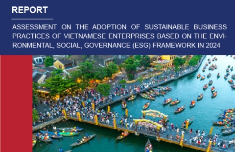 Report: Assessment on the adoption of sustainable business practices of Vietnamese enterprises based on the Environmental, Social, Governance (ESG) framework in 2024