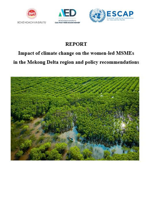 Barriers and challenges faced by women entrepreneurs (women-led MSMEs) in the Mekong River Delta by gender issues and climate change (UN-ESCAP Project)